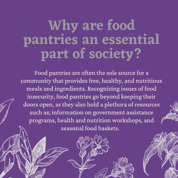 why-are-food-pantries-the-city-college-of-new-york